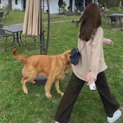 法官老爹